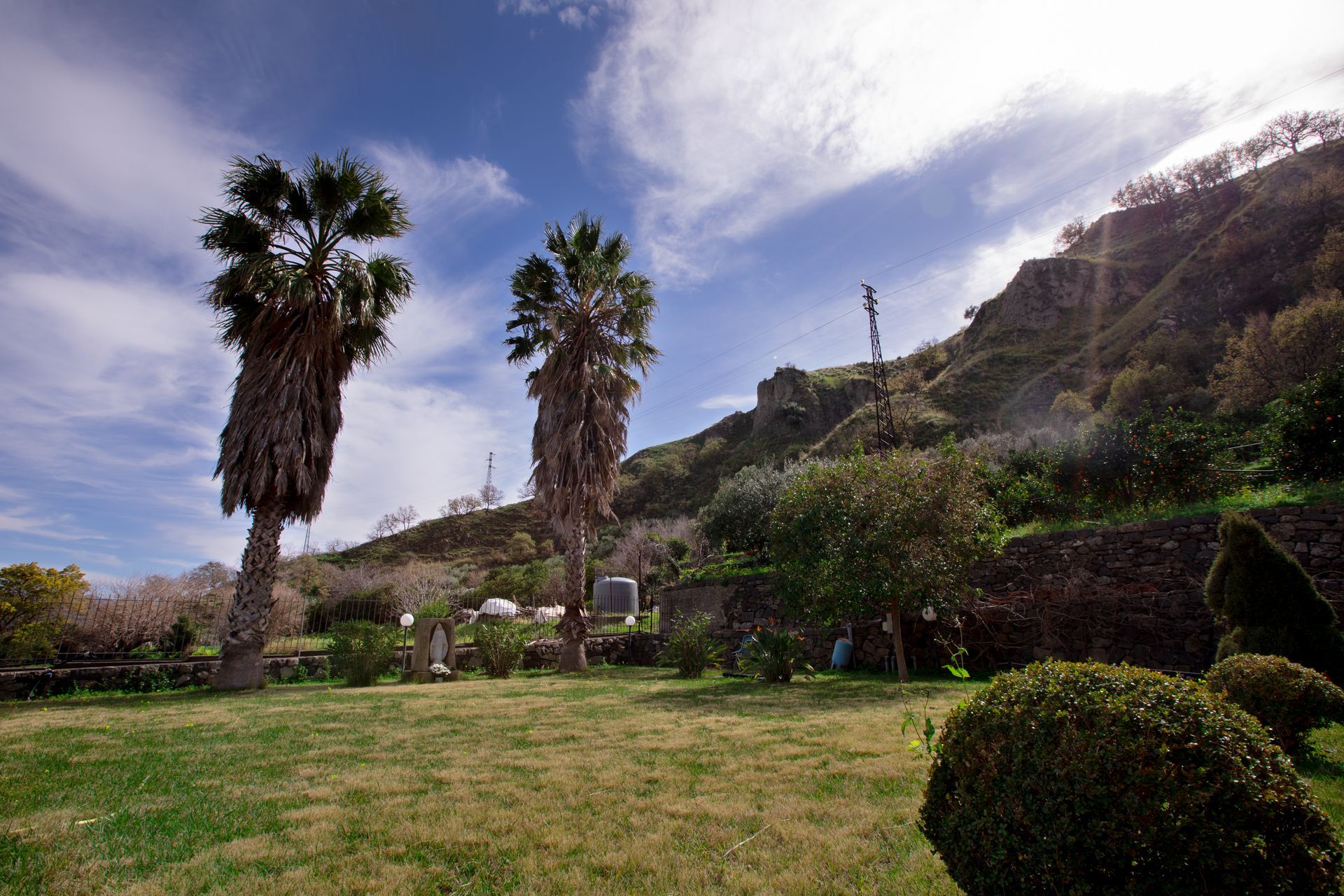 Palme in un campo erboso con uno sfondo montuoso sotto un cielo parzialmente nuvoloso.