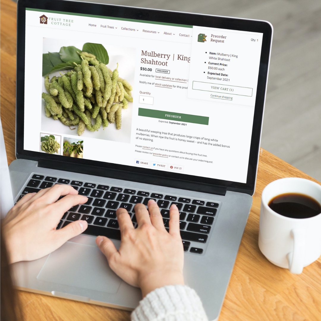 Custom Shopify Development - Preordering