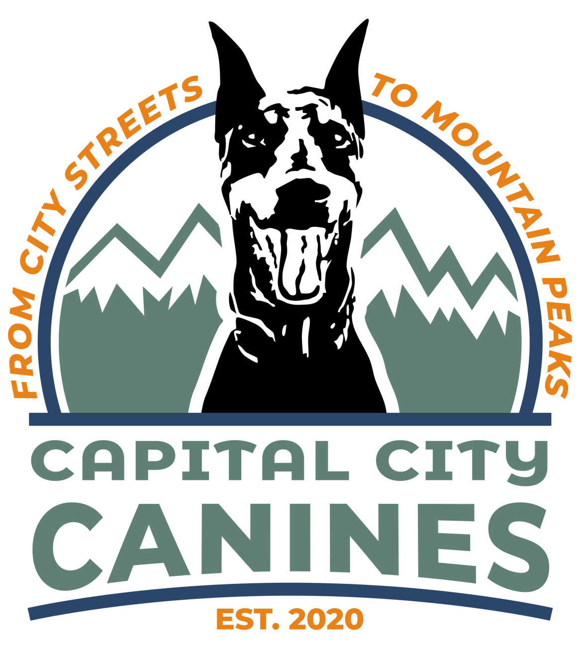 Transition Dog Training | Logo