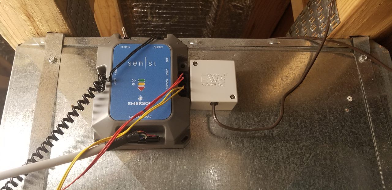 A blue box that says tl on it