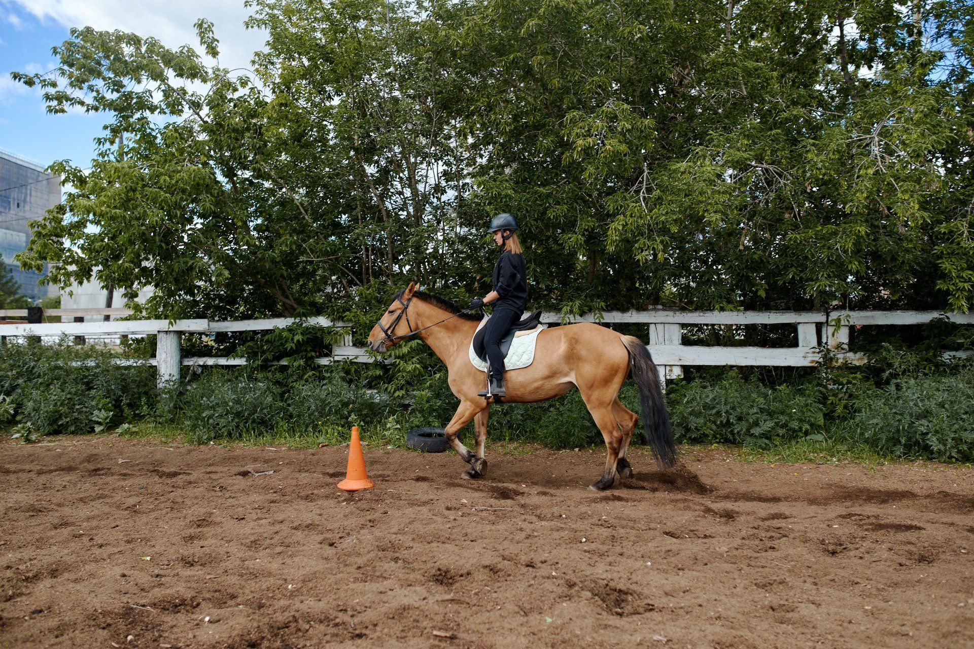 Greendale Barley Feed
