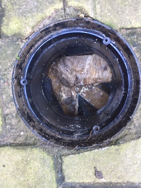 Blocked Outside Drain