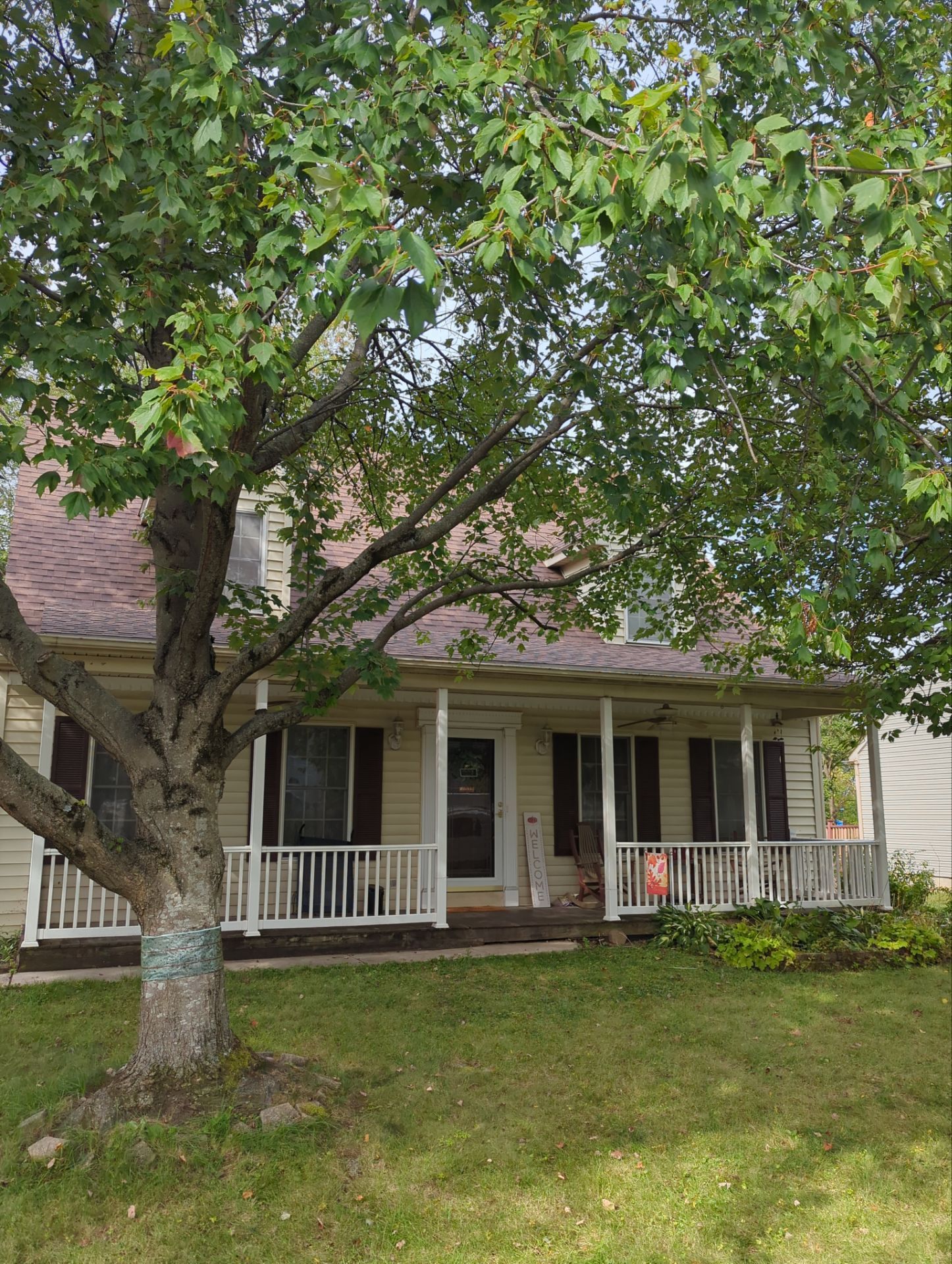 House with a wraparound porch, partially obscured by a tree with green leaves and a trunk wrapped in blue tape.
