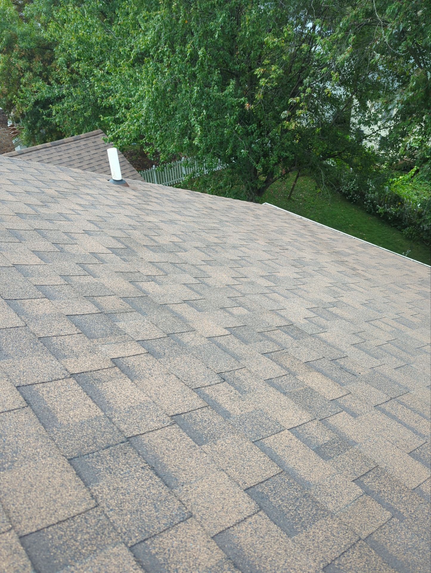 A roof covered with brown asphalt shingles.