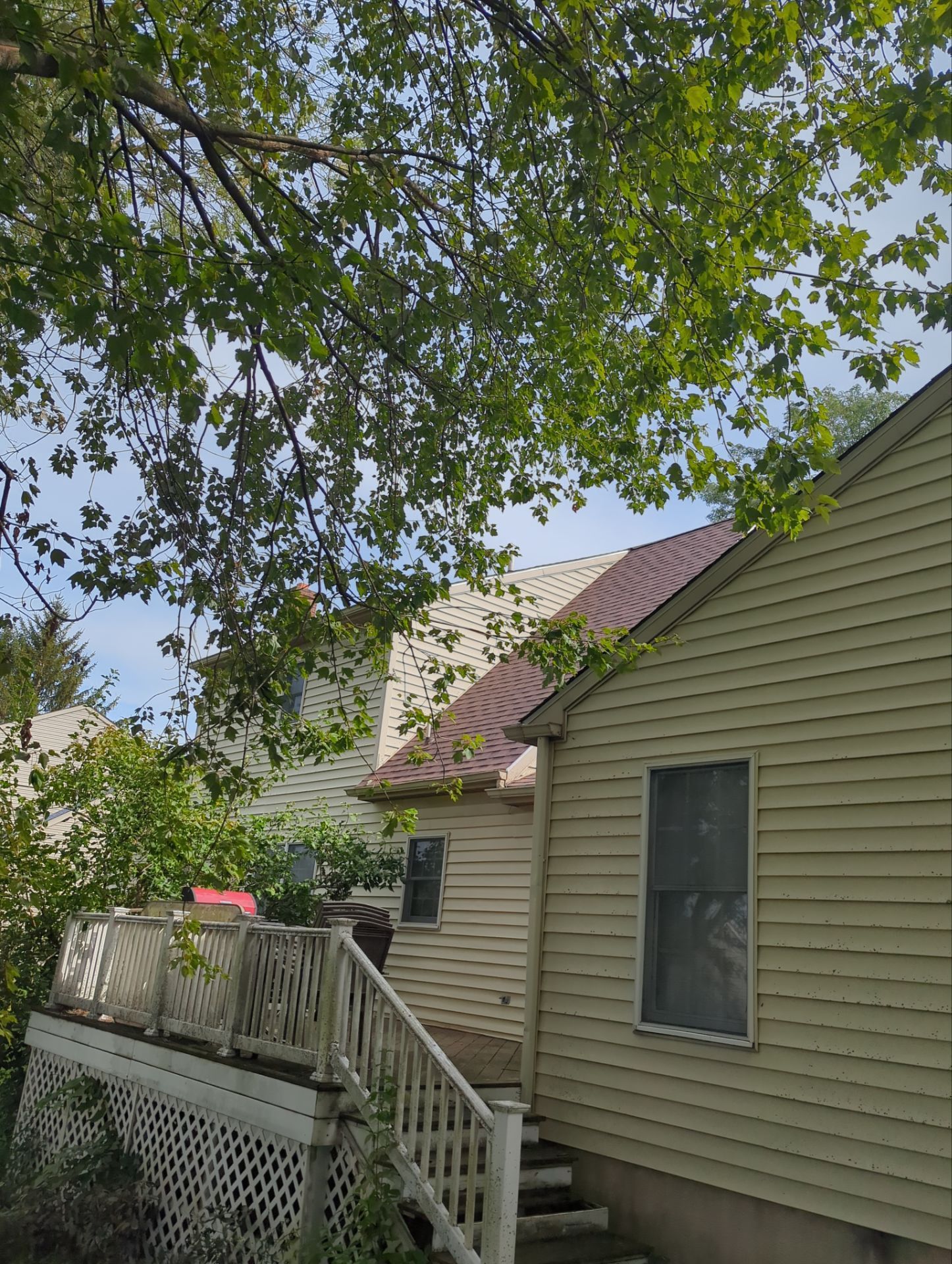 View of two-story house with siding, deck, and red metal roof partially obscured by green tree branches.
