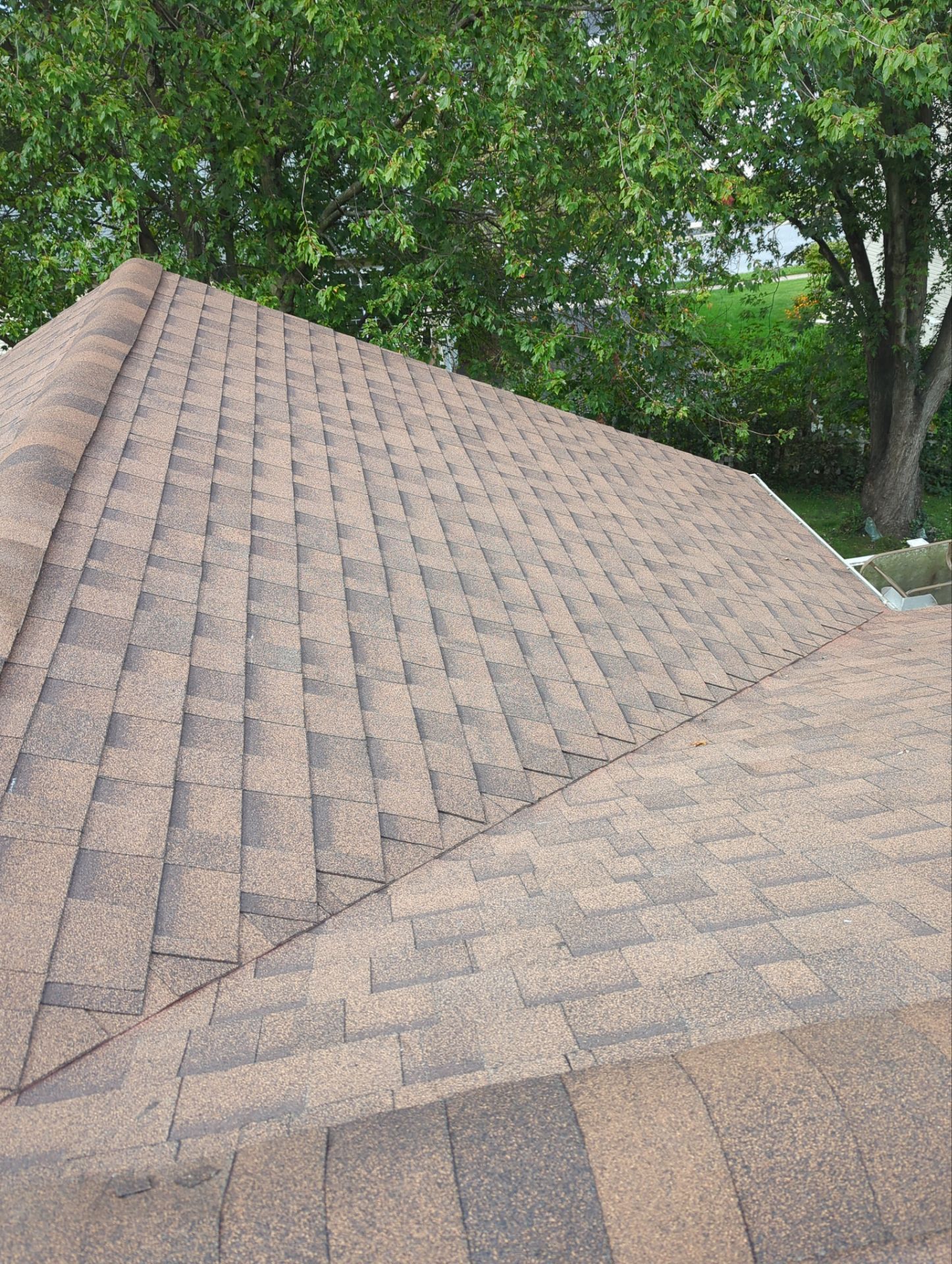 Brown asphalt shingle roof on a house, angled view, tree in background.