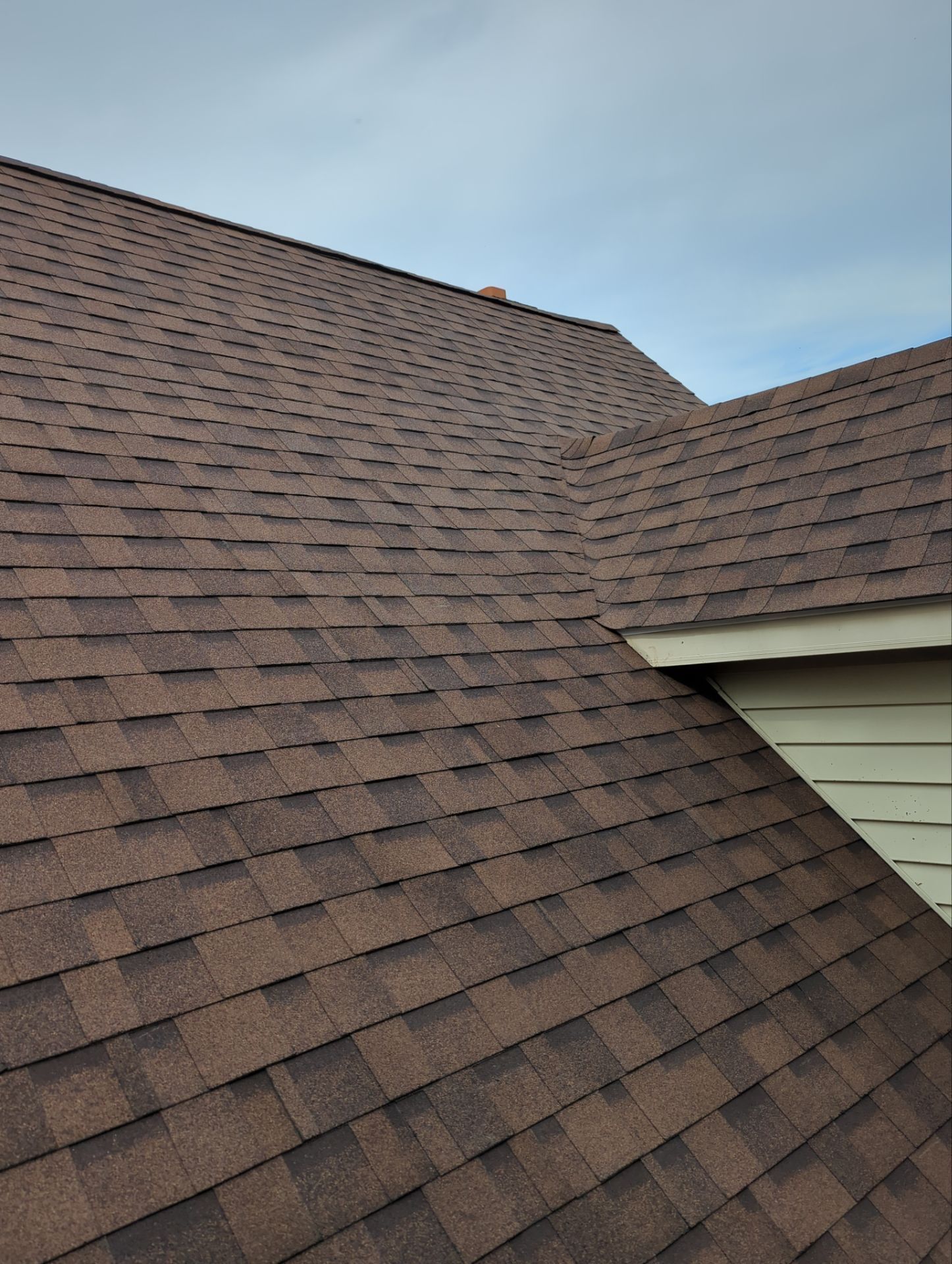 Brown asphalt shingle roof on a house, angled view. Light blue sky. Green siding.