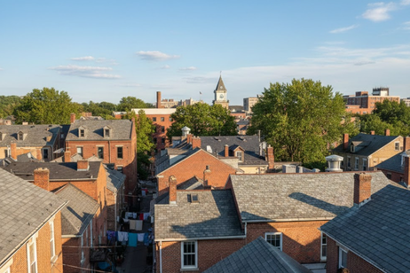Brick buildings with gray roofs, trees, and a clock tower in the distance under a blue sky.