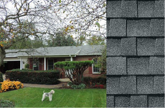 House with gray shingle roof and close-up of shingle pattern; a dog stands in the yard.