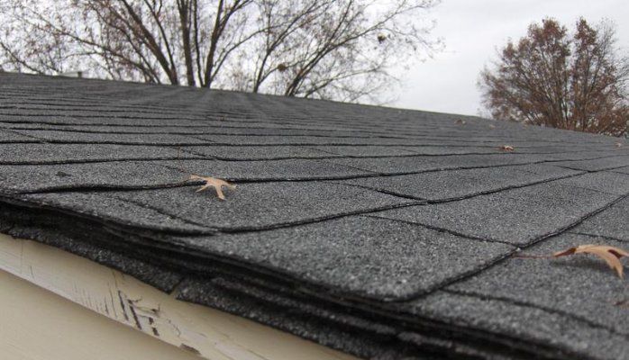 Close-up of a dark gray asphalt shingle roof with fallen leaves, set against a bare tree backdrop.