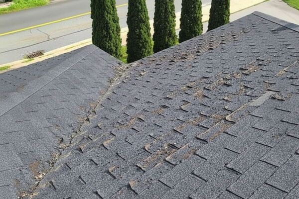 Water-stained ceiling in a kitchen, brown spots against white paint, above dark gray cabinets.