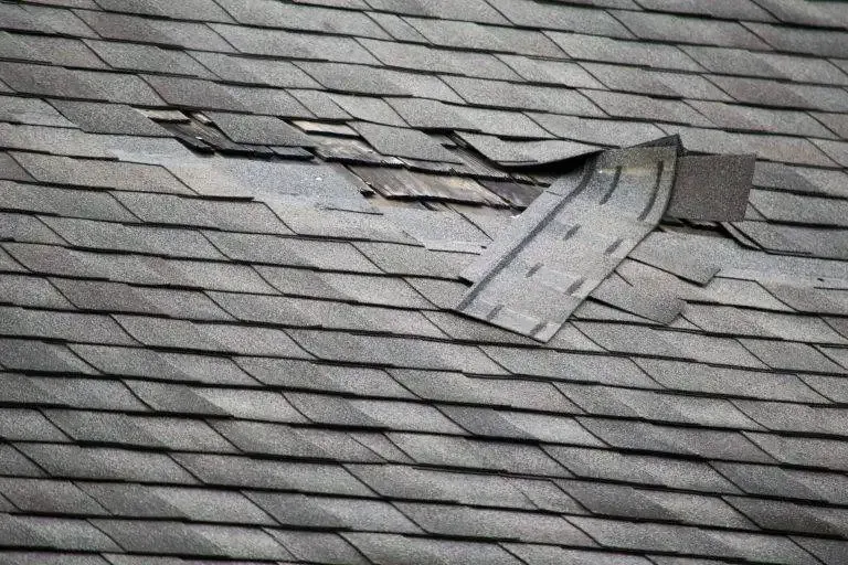 Damaged asphalt shingle roof with missing and torn shingles. Gray color.