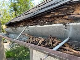 A close-up view of a clogged residential rain gutter filled with dry leaves, showing significant water damage to the roof.