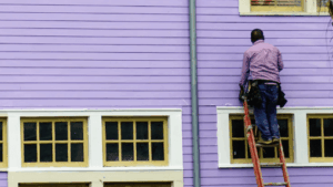 Person on a ladder painting the purple siding of a house. White trim and yellow windows visible.