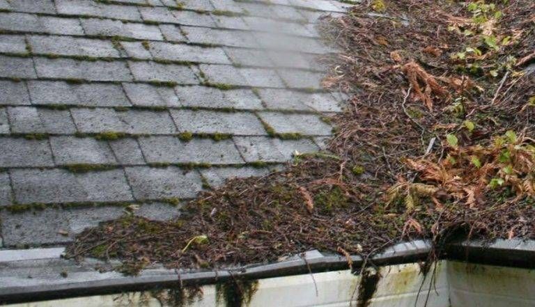 Overflowing gutter with dried leaves and debris on a gray shingled roof.