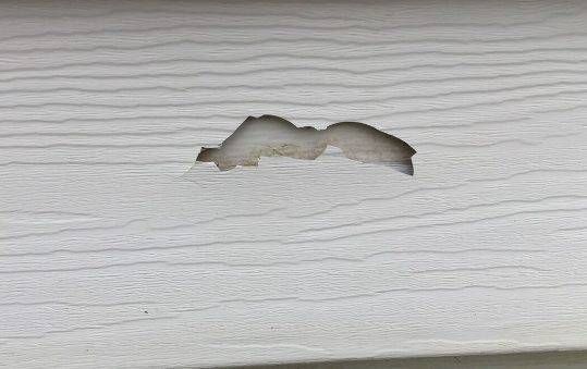 Hole in white siding. Damaged area has rough edges and discolored interior. Horizontal grooves visible.