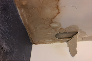 Water-damaged ceiling corner with peeling paint, showing brown staining and a hole.
