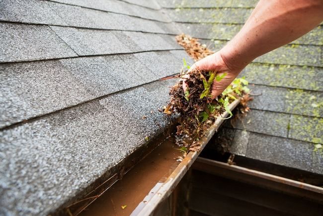 A hand removes a handful of wet leaves and debris from a dirty residential gutter.