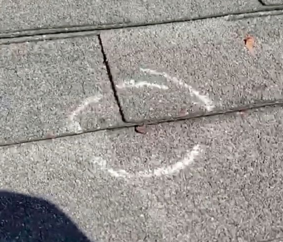 Gutter filled with leaves on a house roof, with a yard and trees in the background.