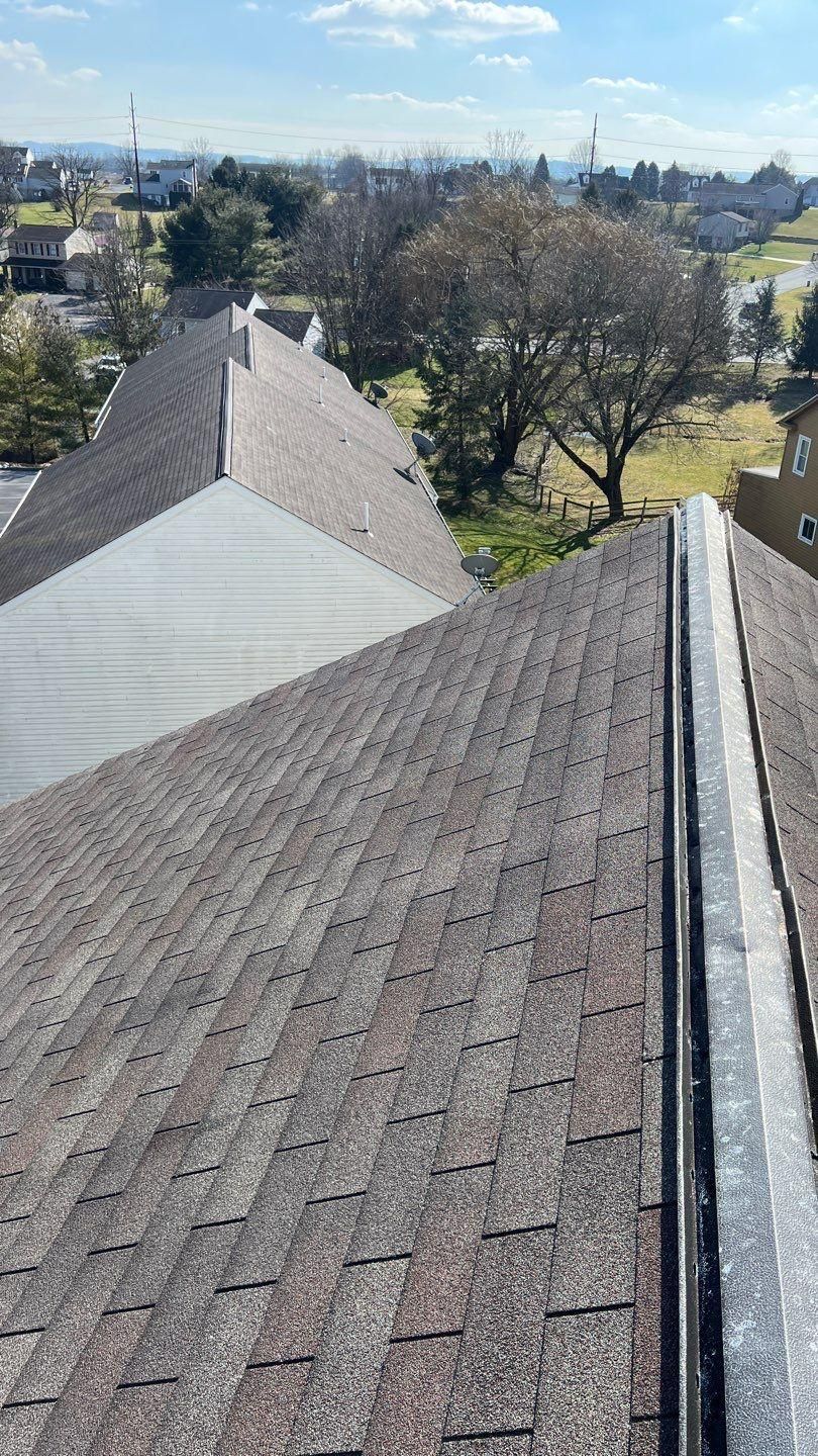 View of a brown shingle roof with a metal gutter, trees, and houses in the background on a sunny day.