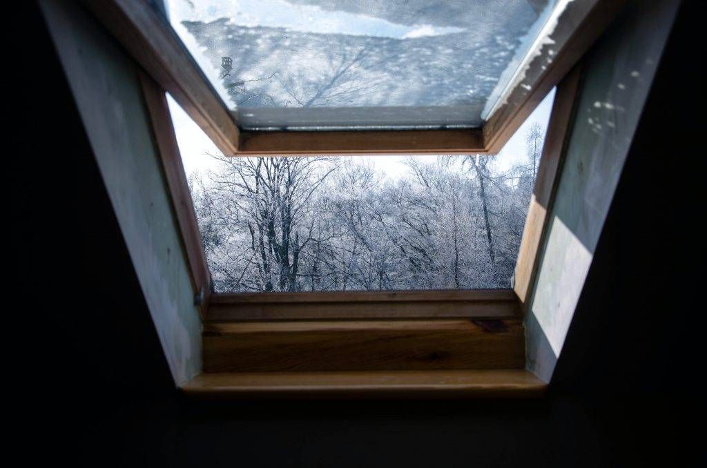 Skylight view of winter trees through a wooden frame. Sunlight illuminates the scene.