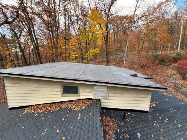 Flat roof of a house, covered in leaves, with fall foliage in background.