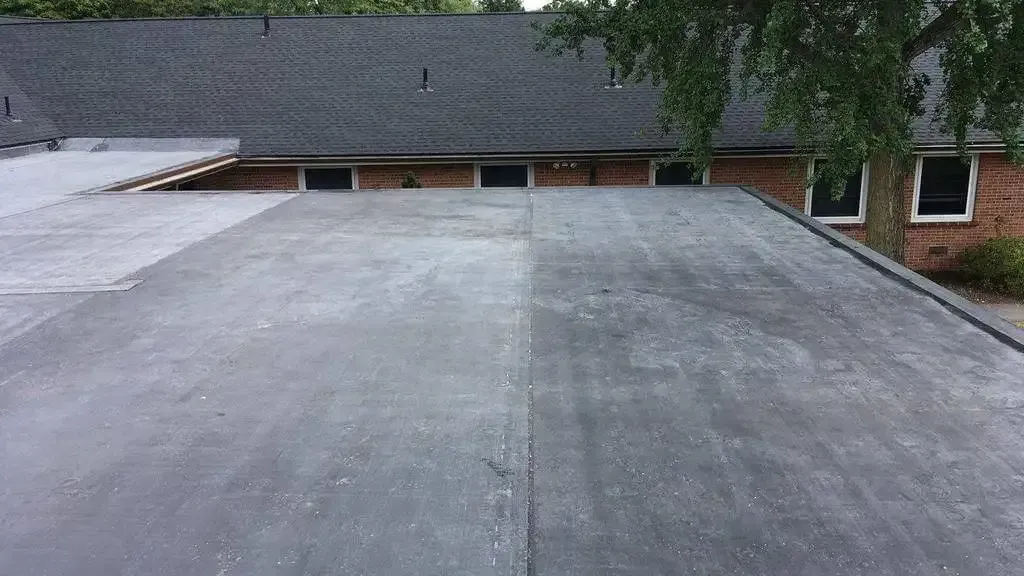 Black asphalt roof with a contrasting clean section, building background.