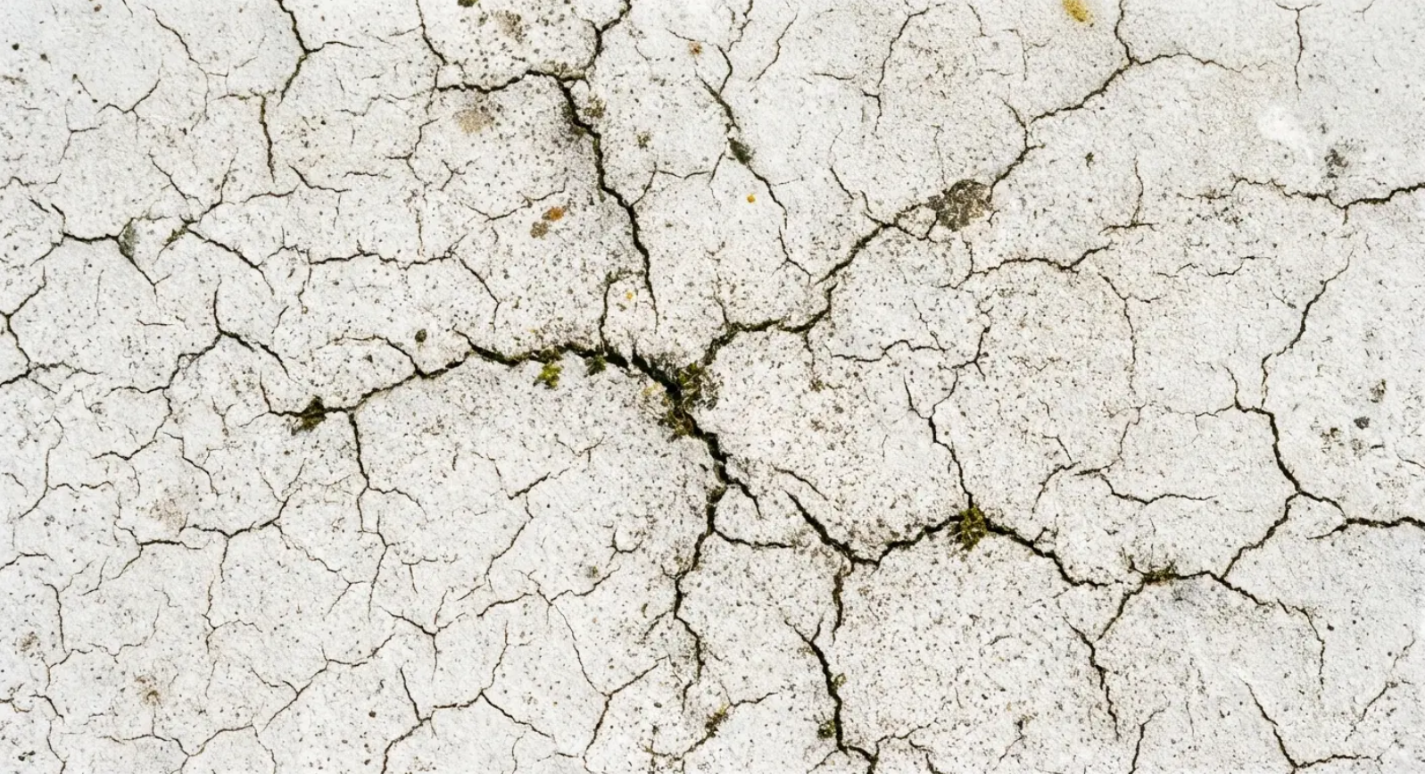 Cracked white pavement with a network of black fissures and small patches of green.