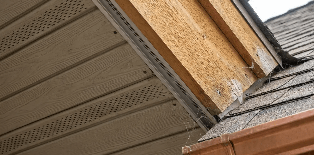 Damaged fascia and soffit caused by poor roof overhang design and water intrusion at the roof edge
