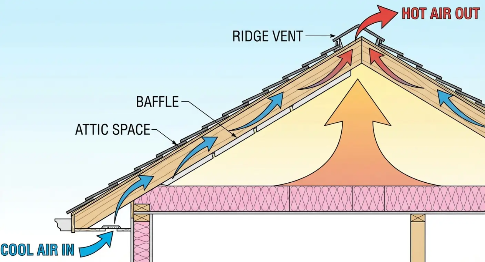 Diagram illustrating attic ventilation. Cool air enters, heated air rises, and exits via a ridge vent.