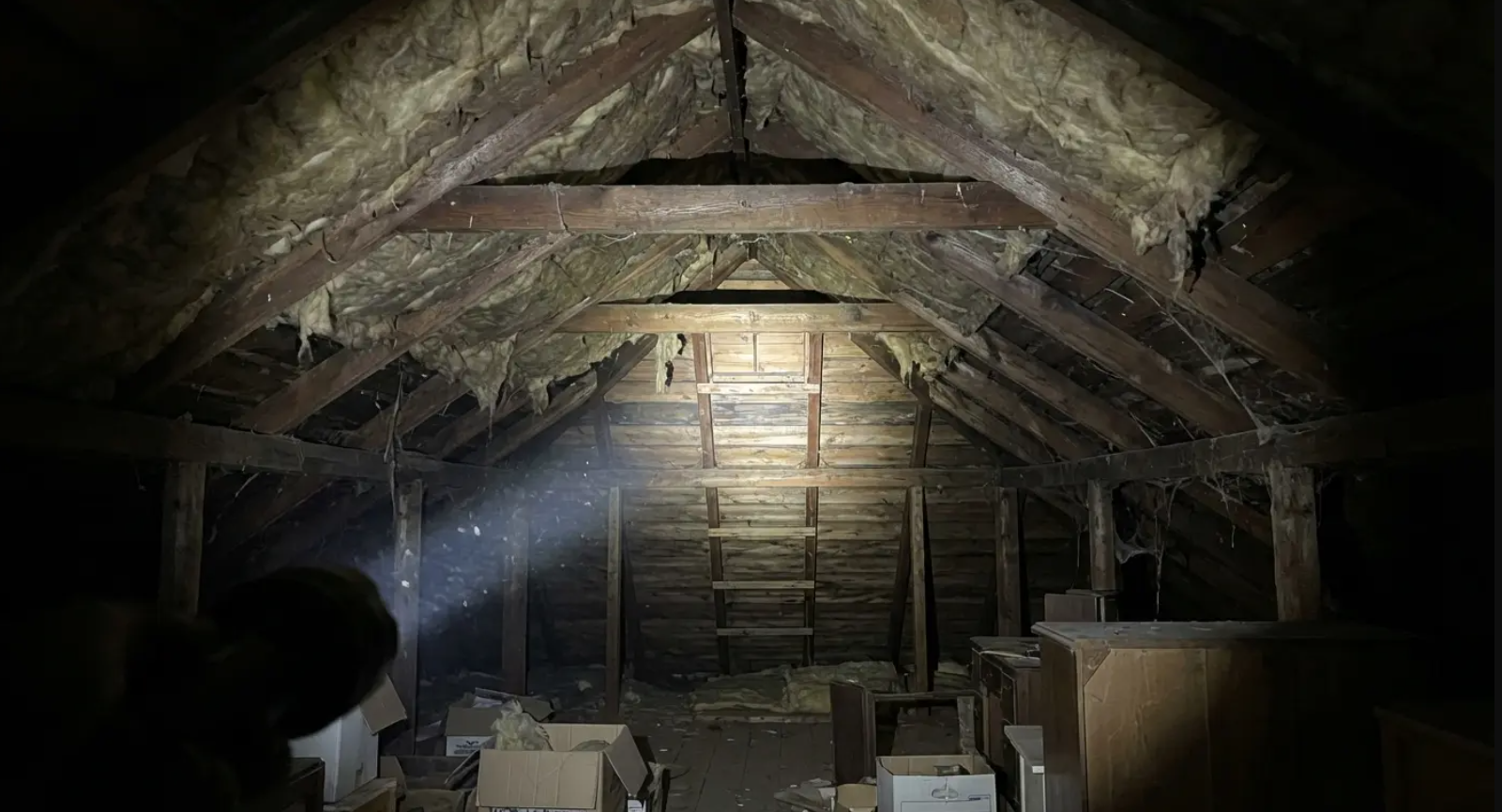 Dark attic with exposed wooden beams, insulation, and cardboard boxes. A flashlight beam illuminates dust motes.