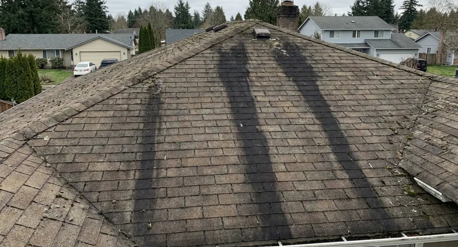 Black algae streaks on an asphalt shingle roof causing visible surface stains.