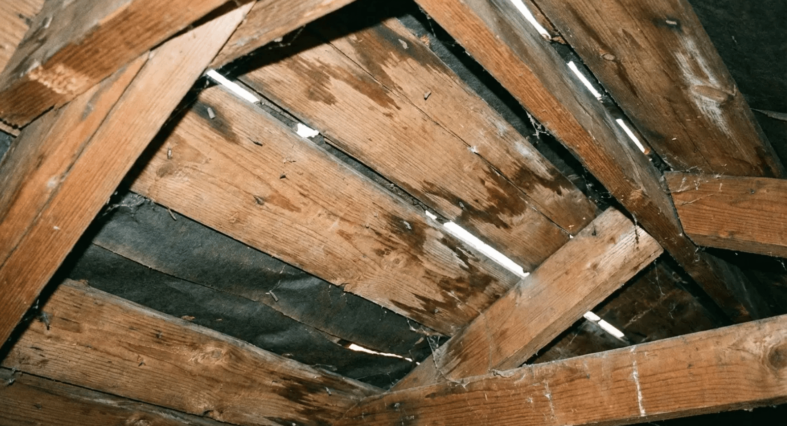 Daylight visible through deteriorating attic rafters - flashing failure caught too late to save with a simple repair