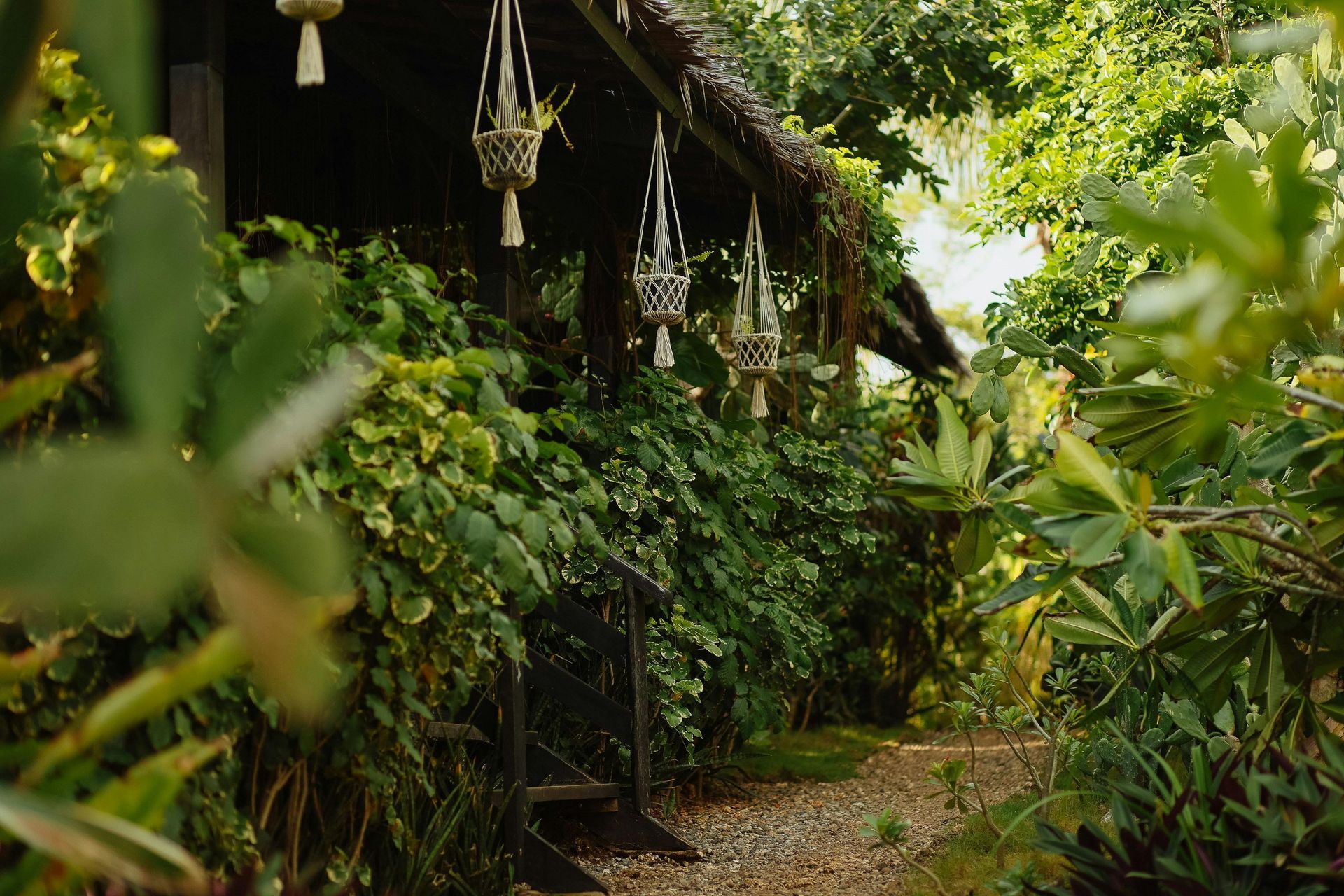 Pathway leading to a wooden structure, overgrown with lush green foliage; hanging planters.