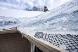 Snow and ice on a roof and gutter with a black mesh. Sky and trees in the background.