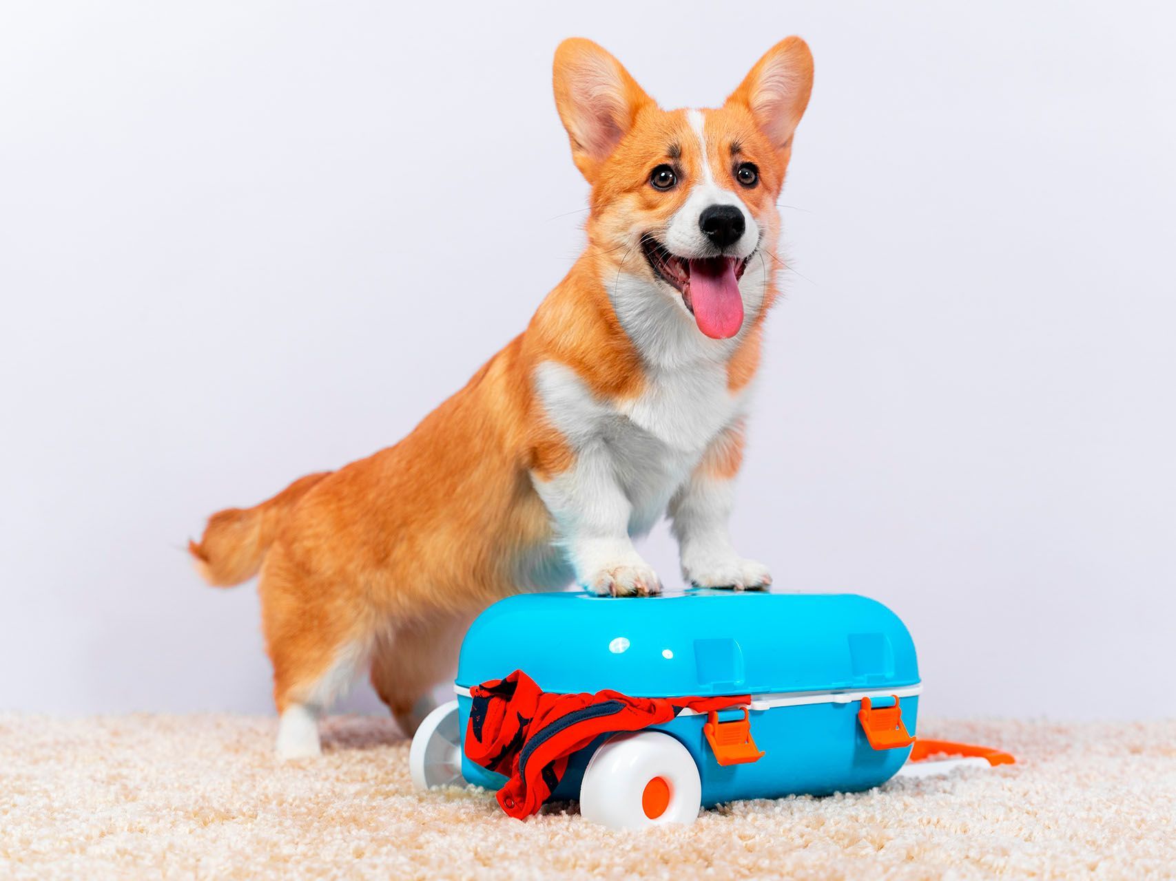 Mudança de Residência