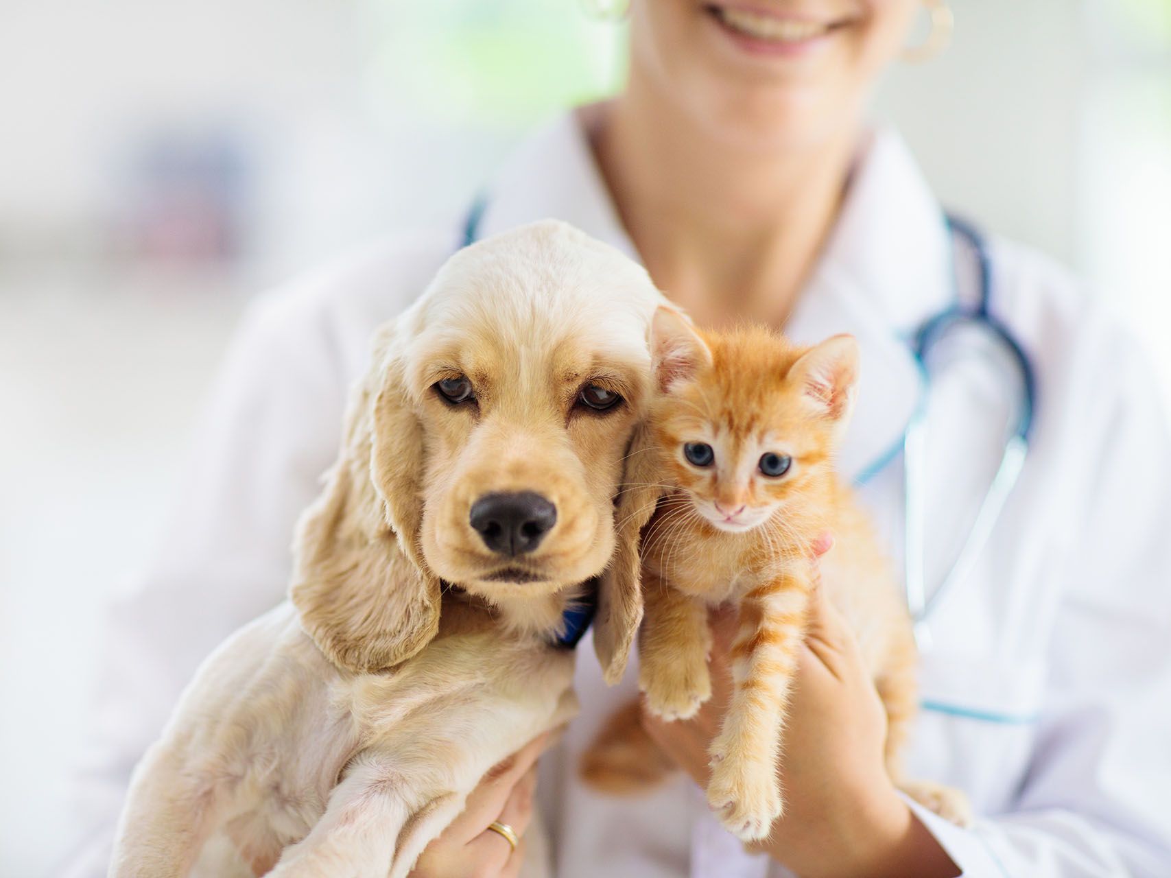 Mudança de Residência