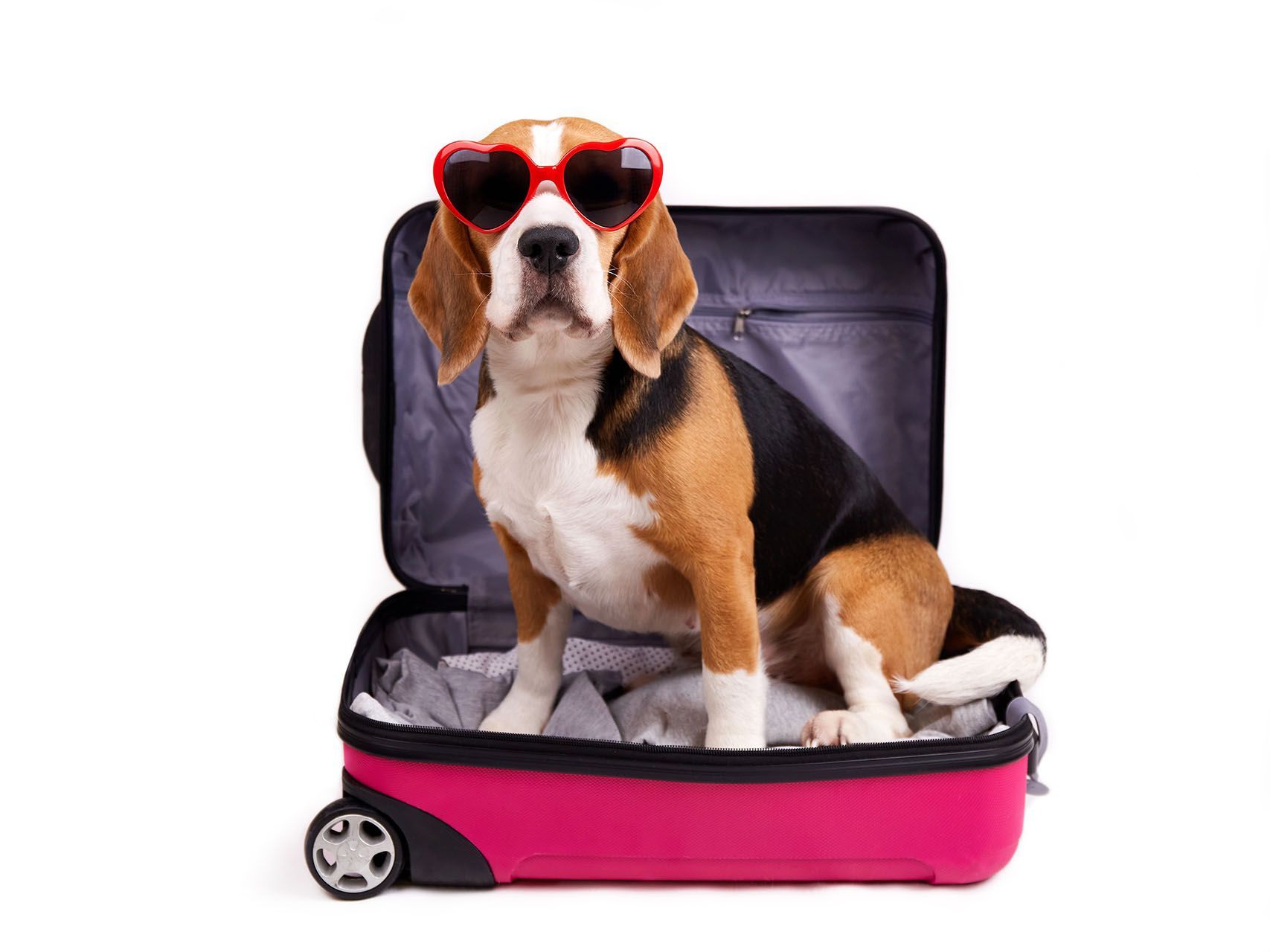 Viagens Curtas ou Longas