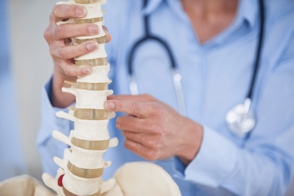 A doctor is holding a model of a spine and pointing at it.