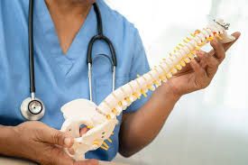 A doctor is holding a model of a spine and pointing at it.
