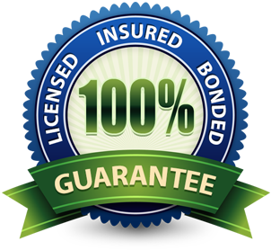 fully licensed, bonded and insured badge