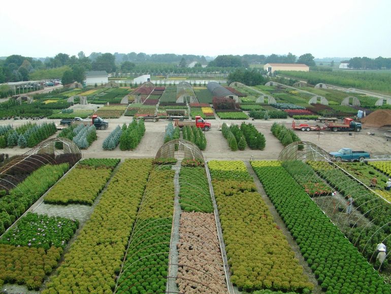 an aerial view of a garden center filled with lots of plants