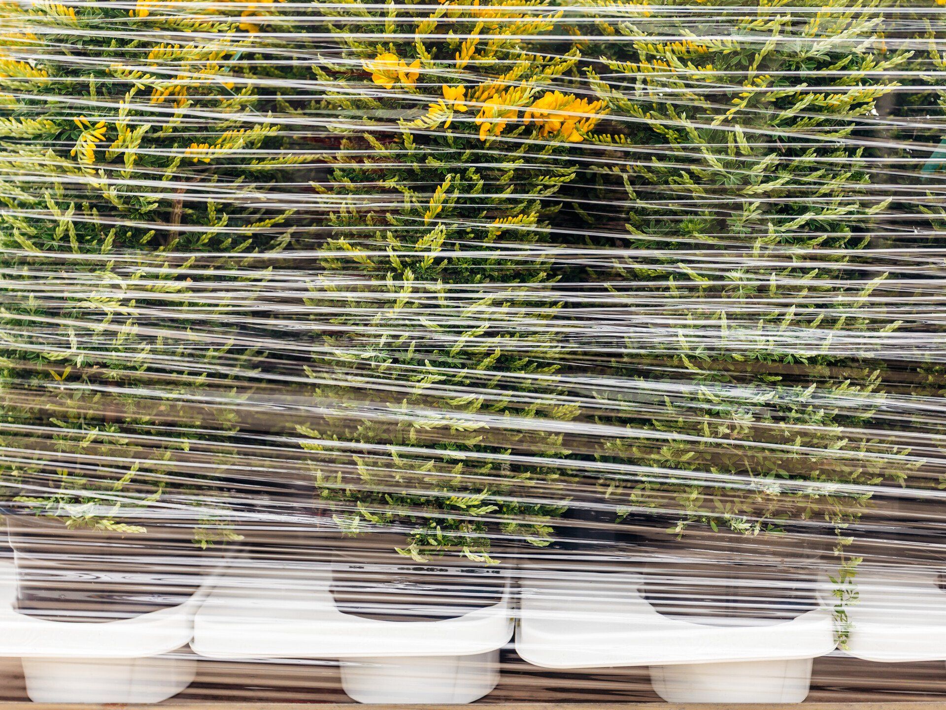 a stack of plastic containers sitting on top of a wooden table .