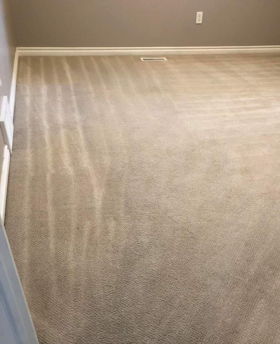 A room with a carpeted floor and a gray wall.