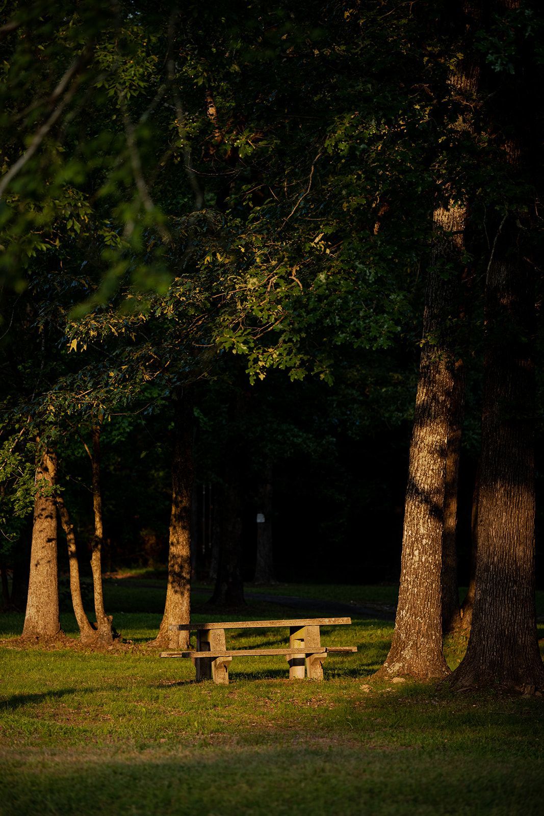 mentoring and therapy