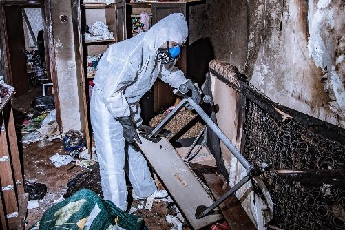 When to Call Professionals: Restoration vs DIY