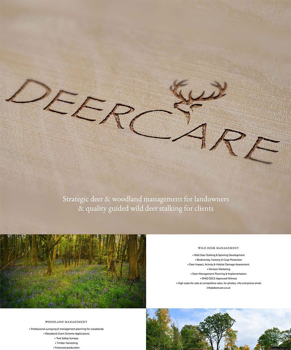Deercare website design development