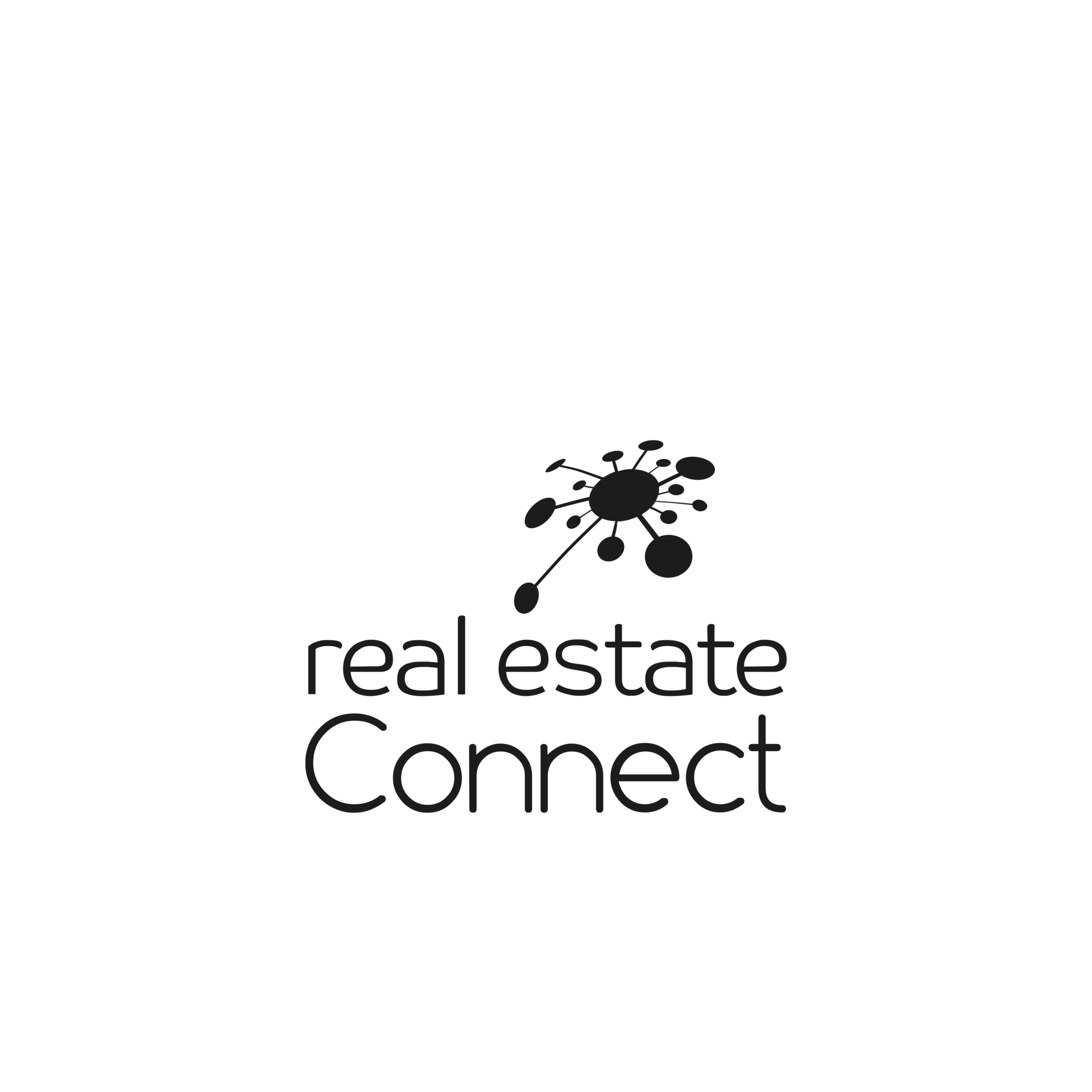 Real estate connect logo