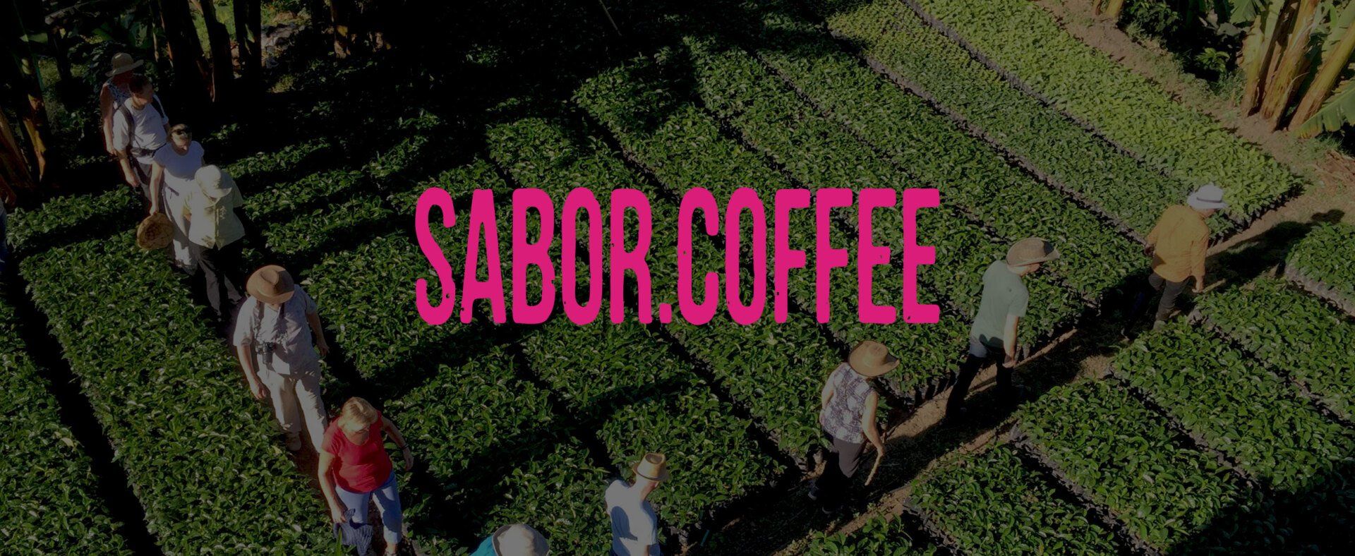 Sabor Coffee logo
