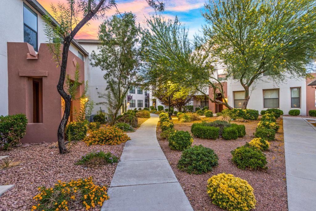 A concrete walkway leading to a building in a residential area surrounded by trees and bushes.